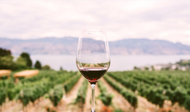 Fly to Amazing Vineyards and Wineries by Private Jet